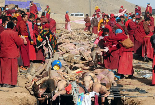 tibetchutang7_296696853 tibetchutang7_296696853