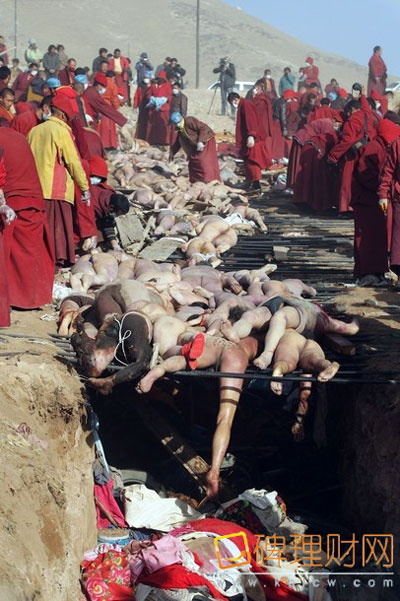 tibetchutang22_871575505 tibetchutang22_871575505